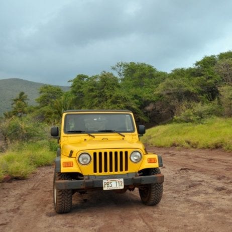 Lanai Jeep Tours From Maui