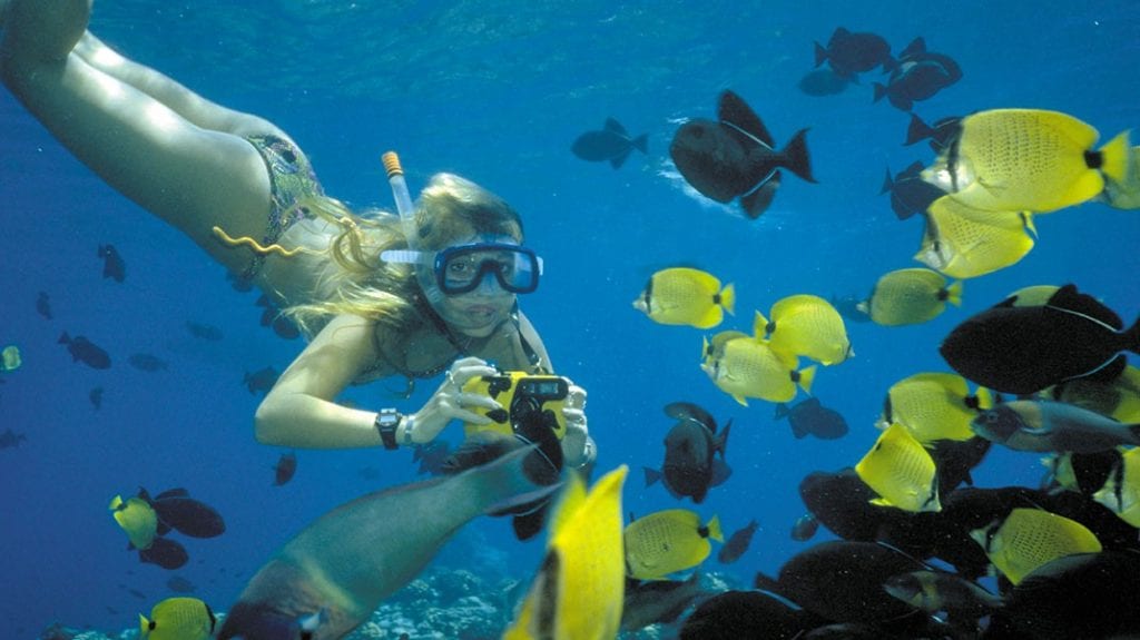 Snorkeling Paradise: Discover Maui’s Underwater Wonders