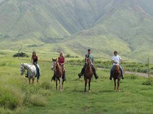 Discover Maui on Horseback