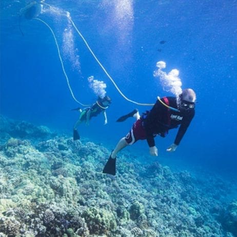 Snuba Diving at Molokini Crater