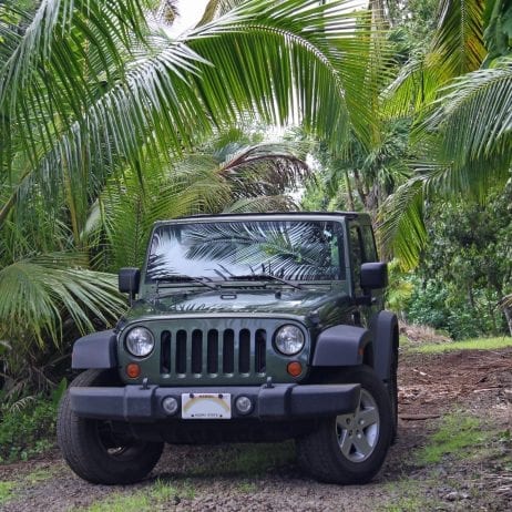 Expeditions - Lanai Jeep Tours