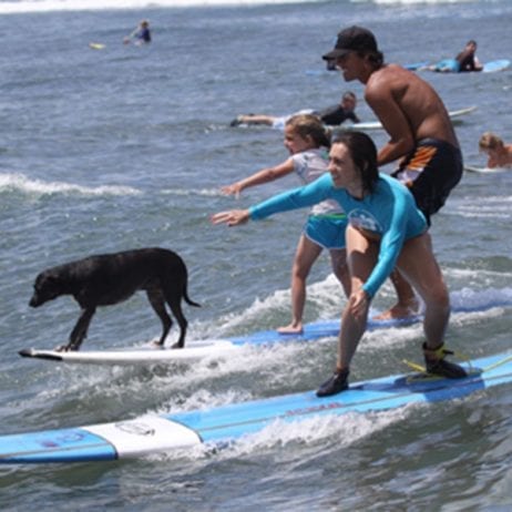 Surfing lessons for the whole family