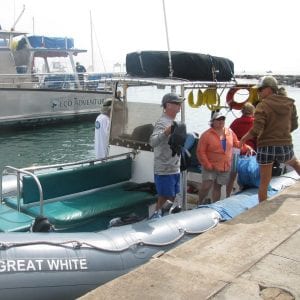 Hawaii Ocean Rafting - Lanai Dolphin Snorkel Tours (Dock)