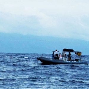 Encountering the Whales on Maui