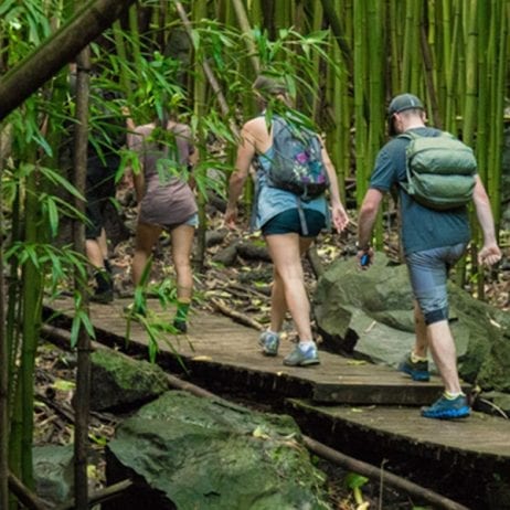 Guests strolling on a wooden bridge surrounded by a bamboo forest during the hike tour on East Maui.