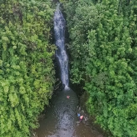 Awe-inspiring waterfalls and hidden clear pools amidst lush greenery on Maui.