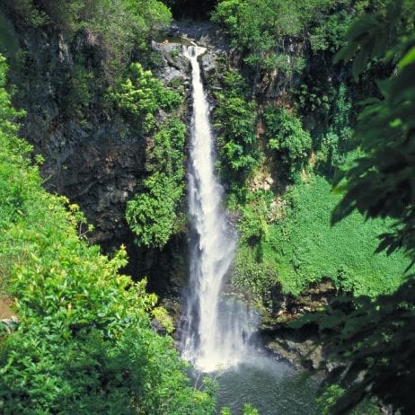 Enjoying the enchanting beauty of Twin Falls with Hike Maui.