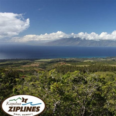 The picturesque rolling hills and enchanting forests on Maui.