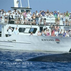 Kaulana 70' Double Deck Catamaran