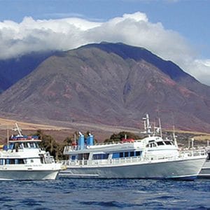 Lahaina Cruise Company - Maui Princess Dinner Cruise (Boat)