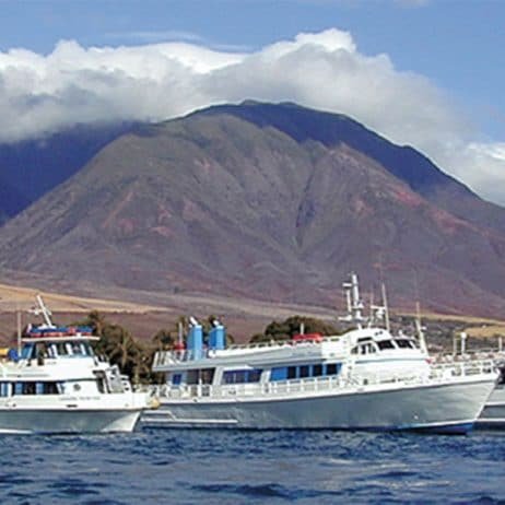 Maui Princess Dinner Cruises