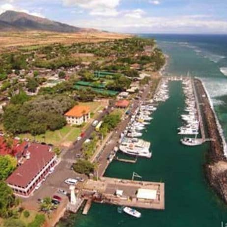 Bird View of the Famous Lahaina Harbor