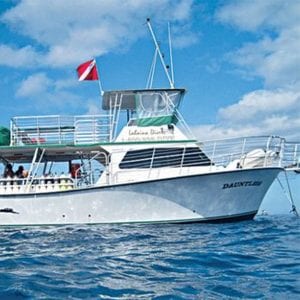 Lahaina Divers Scuba Diving