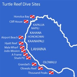 Turtle Reef Dive Sites