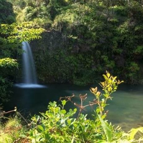 Waterfalls on the road to Hana with Mahalo Tours