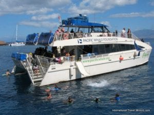 Pacific Whale Foundation boat - 3198