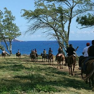 Enjoying scenic beauty on horseback riding adventure in Maui with a group.