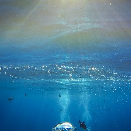 Seafire Snorkeling Adventures Crew