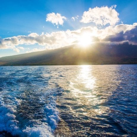 Maui Sunrise Whale Watch