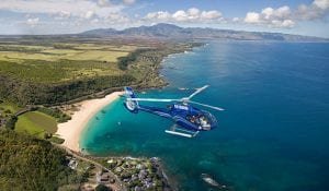 Blue Hawaiian Maui 2993