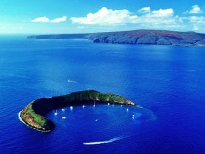 Molokini Crater Snorkel with Pacific Whale Foundation