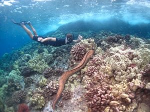 Snorkeling Tours - 2641