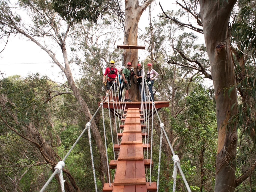 Why Ziplining is One of the Best Things to Do in Maui