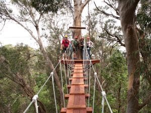 Piiholo zipline tours in Maui 2803