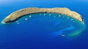 Molokini Crater Snorkel site Maui - 2063