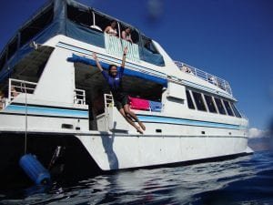 Quicksilver Maui, quicksilver maui reviews, quicksilver maui coupons, quicksilver maui tours,