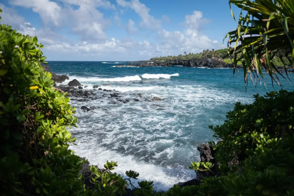 June on Maui: Summer Adventures