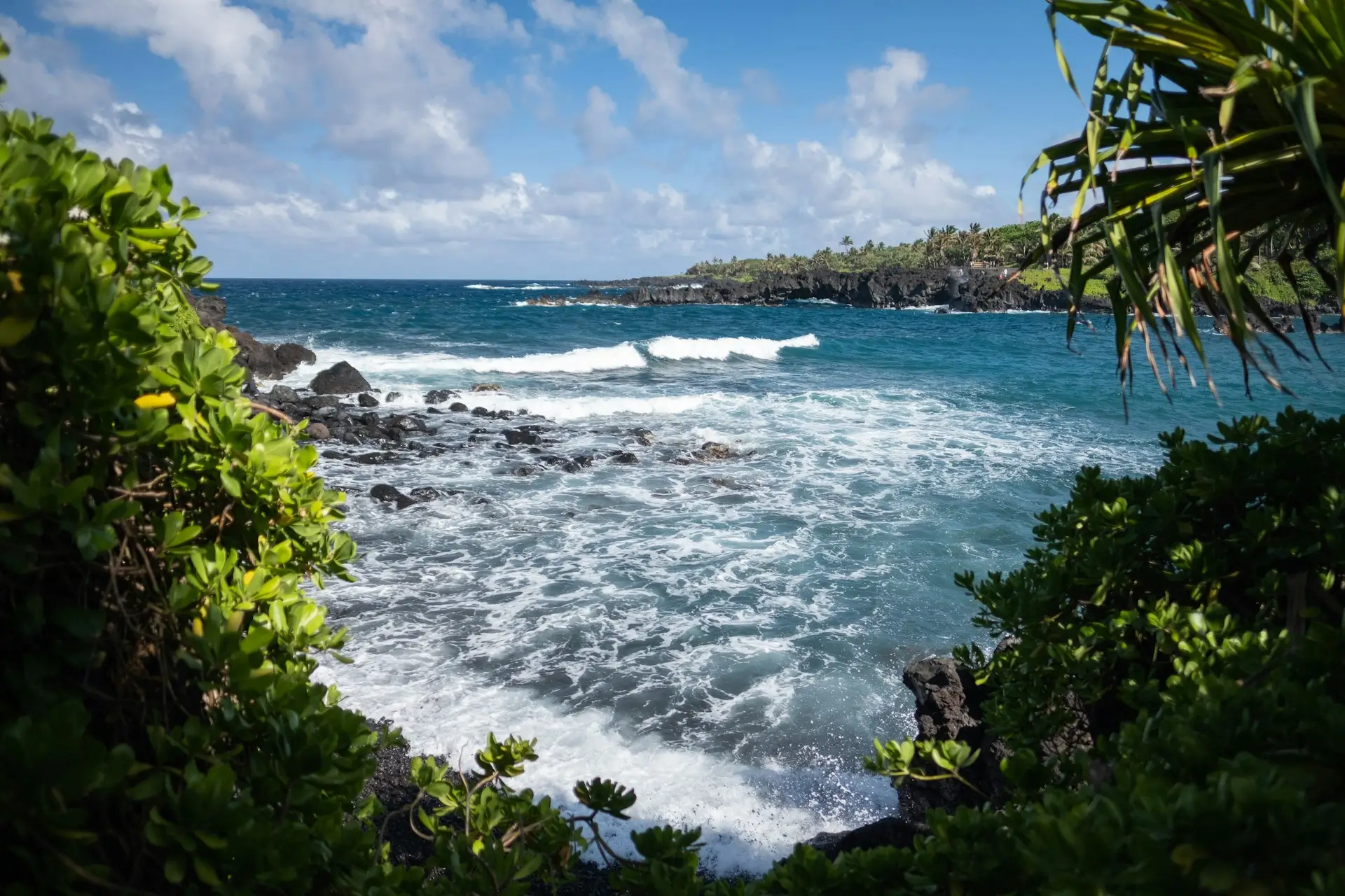 June on Maui: Summer Adventures