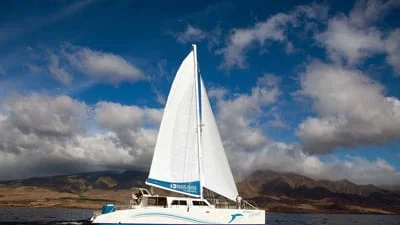 Catamaran Snorkeling Tours