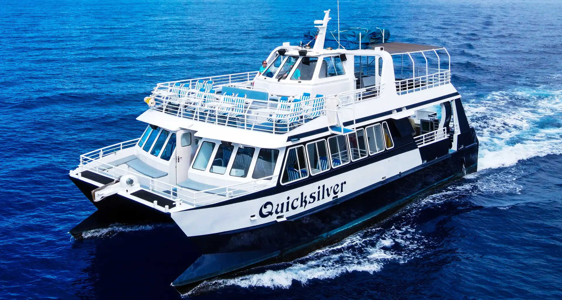 Turtle Town Snorkel Tour