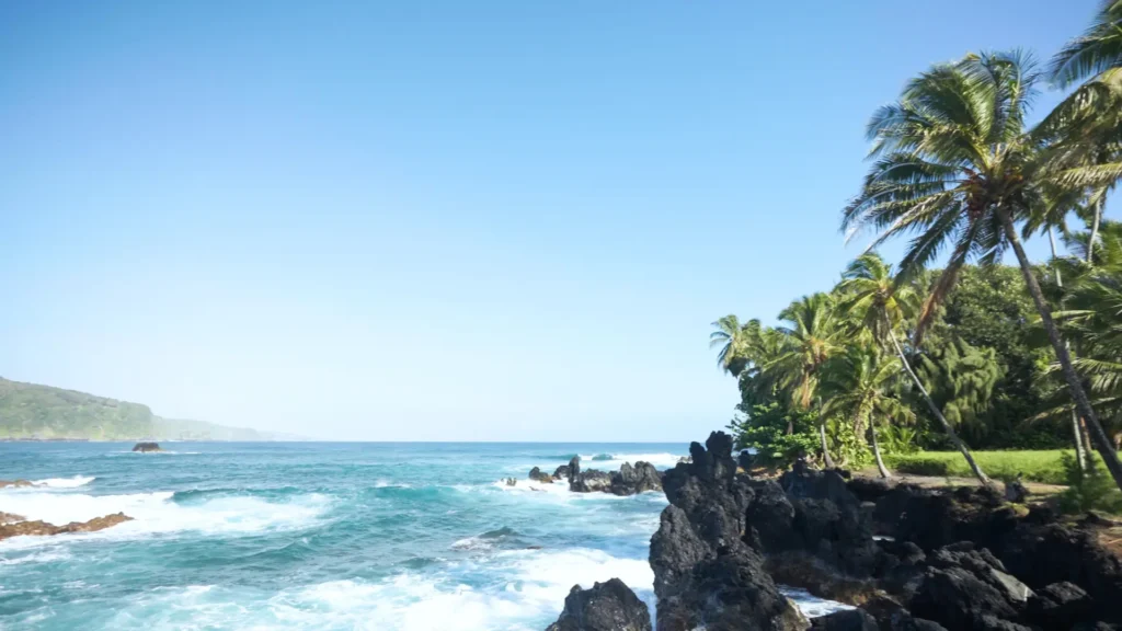 Relax and Explore: Road to Hana with Aloha Sunshine Tours