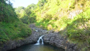 Road to Hana tour