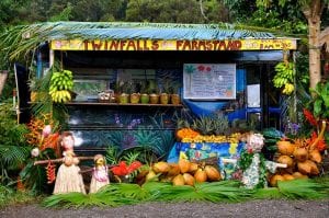 Twin Falls Farm Stand